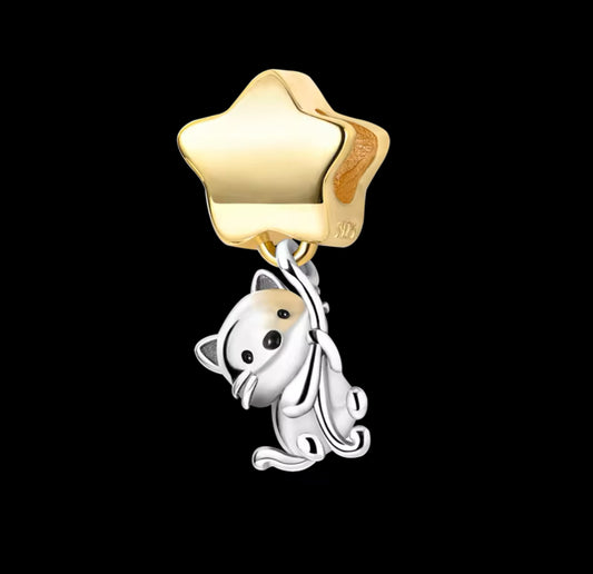 Charm Stern